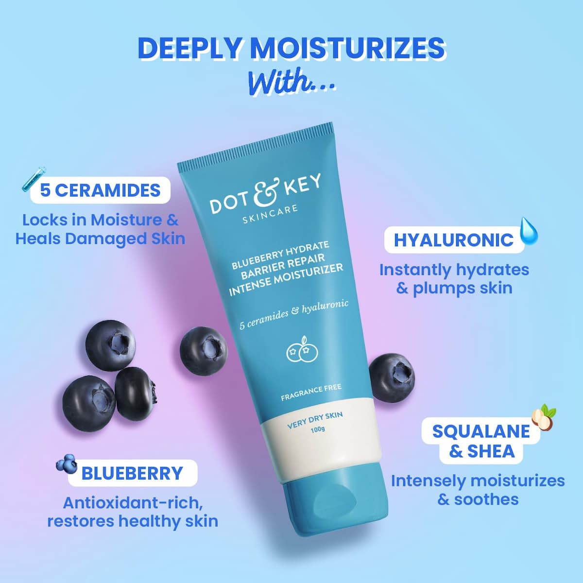 DOT & KEY Blueberry Hydrate Barrier Repair Intense Moisturizer 100g